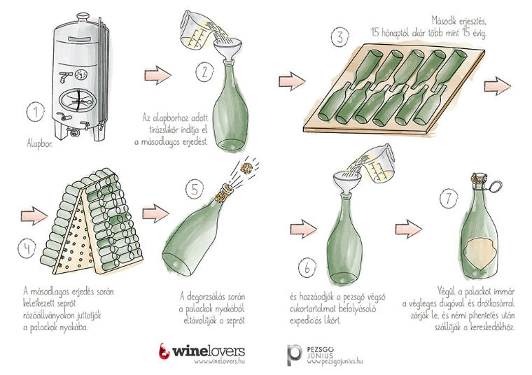 Cava, a spanyolok sztárpezsgője