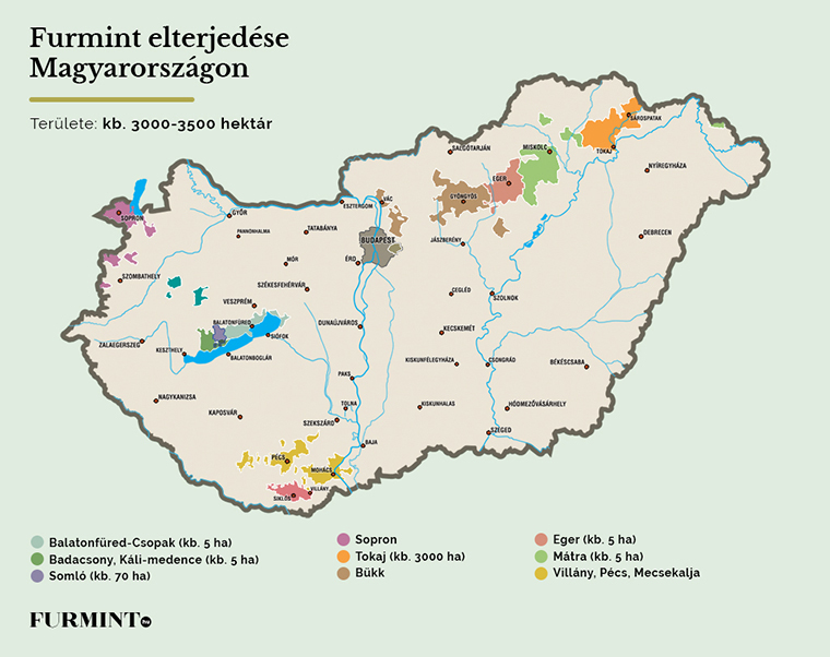 Tudj meg mindent a furmintról #1: A furmint Magyarországon