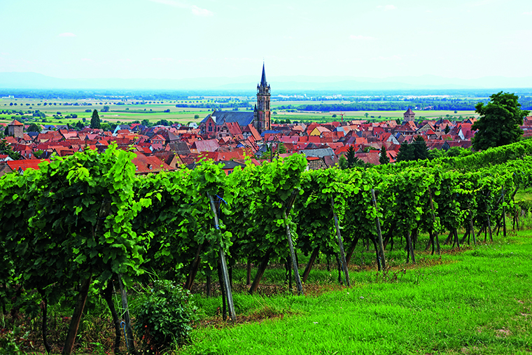 Európa legszebb borútjai #3: Elzászi borút