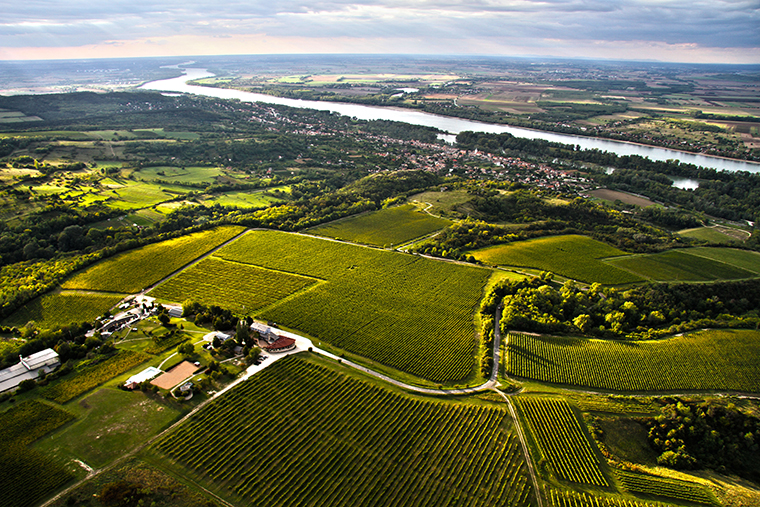 Mit csinál a Hilltop szőlésze júliusban?