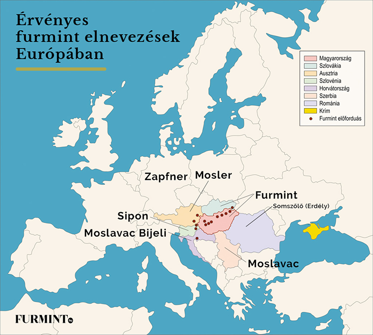 Tudj meg mindent a furmintról #12: Egészen meglepő országokban fordul elő a fajta