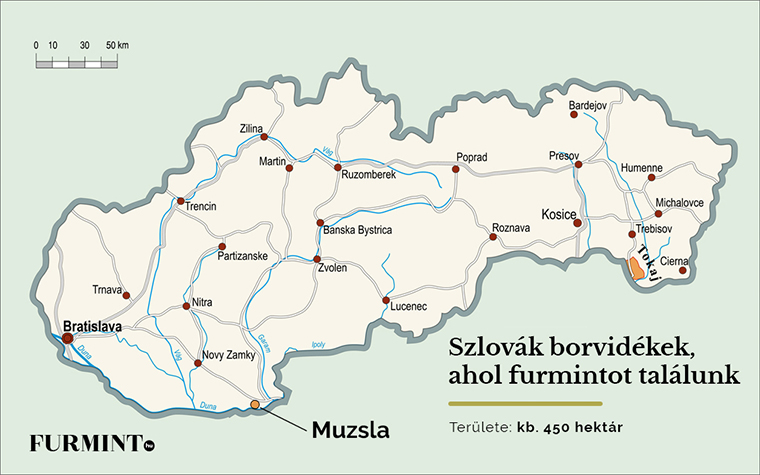 Tudj meg mindent a furmintról #12: Egészen meglepő országokban fordul elő a fajta