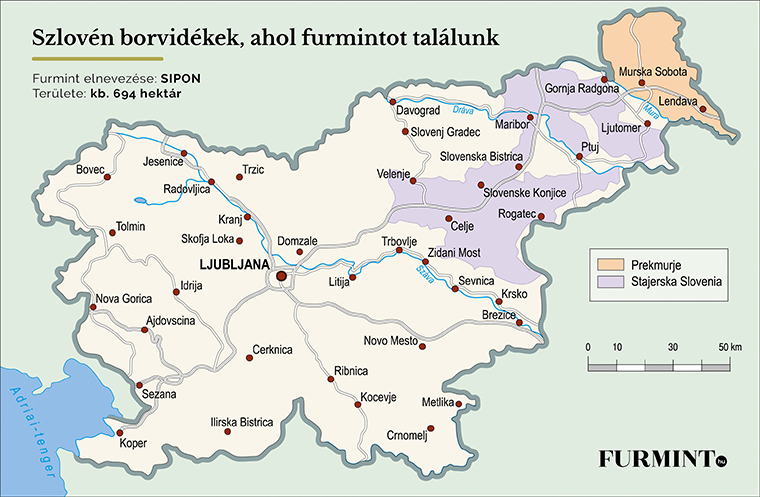 Tudj meg mindent a furmintról #12: Egészen meglepő országokban fordul elő a fajta