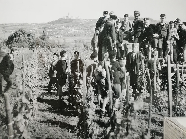 Pannonhalma – Borvidék az Isten tenyerén 2. rész