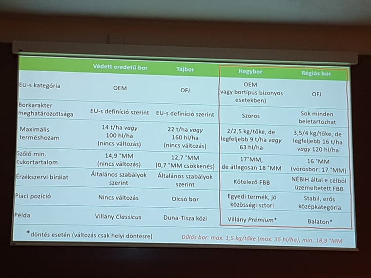 Ez volt a 2020-as Borkonferencia