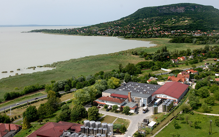 Nagyaranyat nyert Brüsszelben egy magyar folyóbor