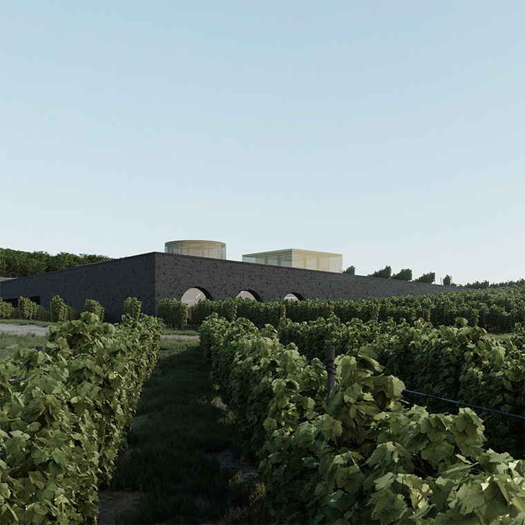 Tiwári House – az elmúlt évek legizgalmasabb boros projektje Badacsonyban