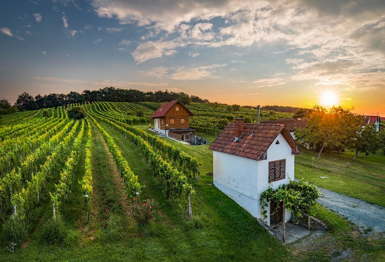 Ezért lett Burgenland a borrajongók egyik kedvence