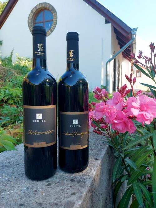 Két őszi programmal, díjnyertes borokkal vár Szekszárdon a Fekete Borpince