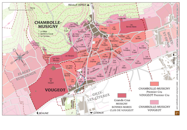 Louis Jadot borain keresztül mutatjuk be Burgundiát