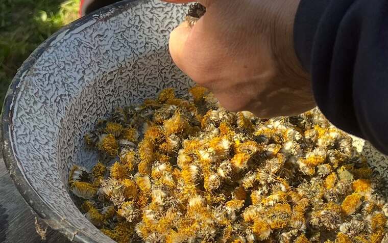 Bio, organikus, biodinamikus, natúr, vegán – tudod mi a különbség?