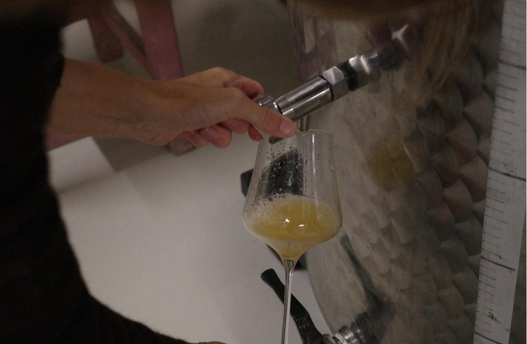 Bio, organikus, biodinamikus, natúr, vegán – tudod mi a különbség?