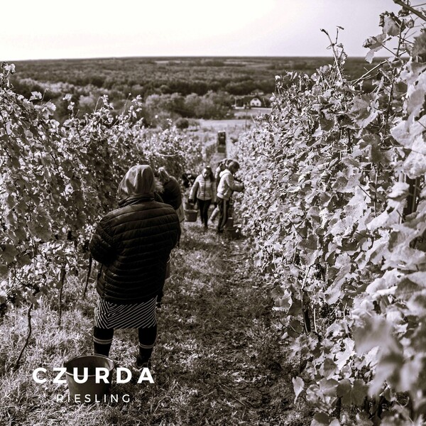 Nem maradnak a rajongók Czurda Riesling nélkül: 2024-ben jönnek az új palackok!