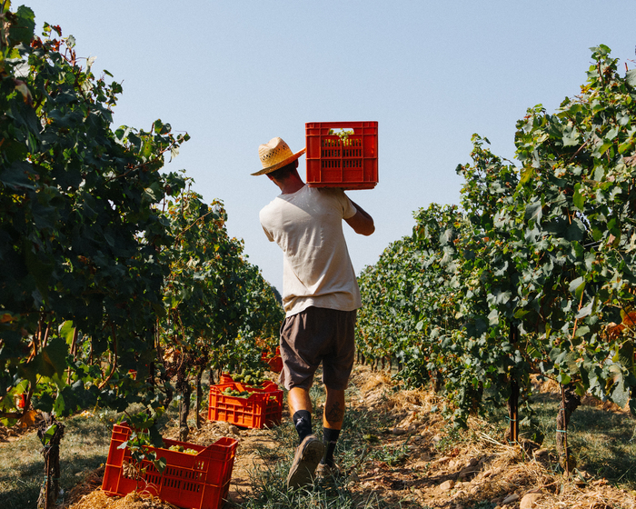 Franciacorta – Olaszország buborékokba zárva