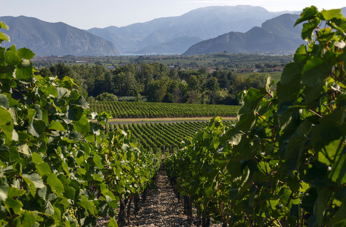 Franciacorta – Olaszország buborékokba zárva