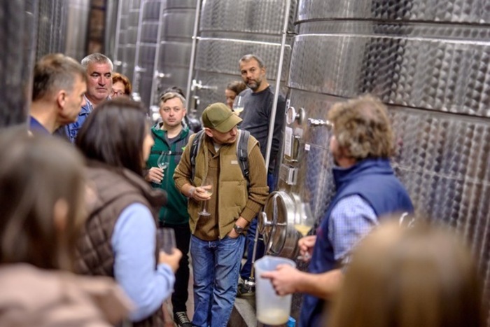 “Ha egy bor egyszerre egyedi és kiemelkedő minőségű, az a siker kulcsa lehet. A Somló hegyen mi ezt az utat választottuk” (X)