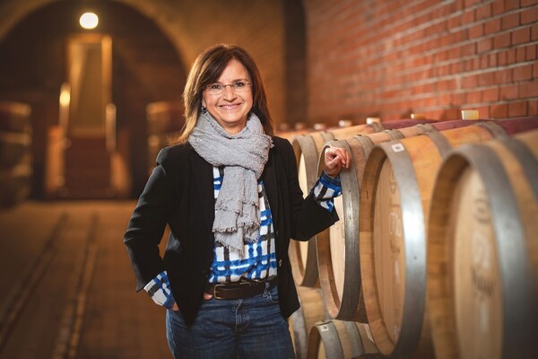 Syrah Variáció - a Vylyan első amforás bora
