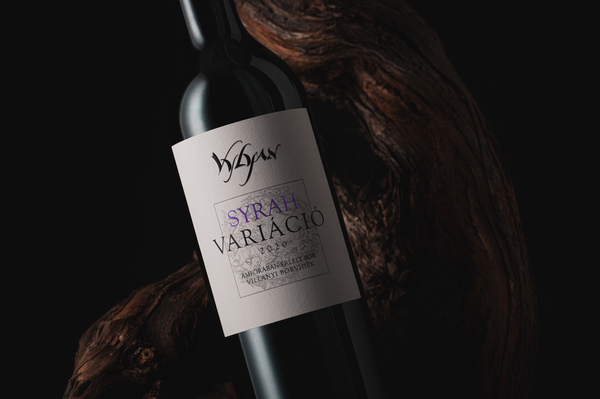 Syrah Variáció - a Vylyan első amforás bora