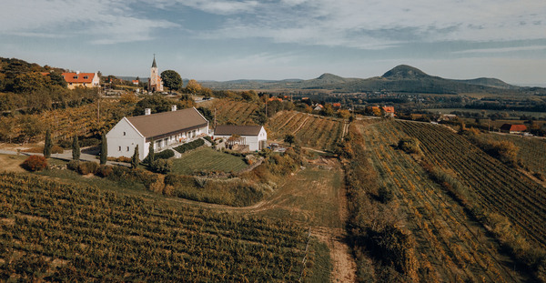 A Tarányi dűlő csodálatos világa