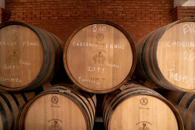 A lélek szenvedélye a borban – Malatinszky Csaba gondolatai az organikusságról és a bor szakralitásáról