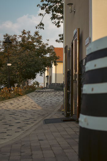 Szőlősorokra néző panoráma, családias vacsorák és kiváló somlói borok