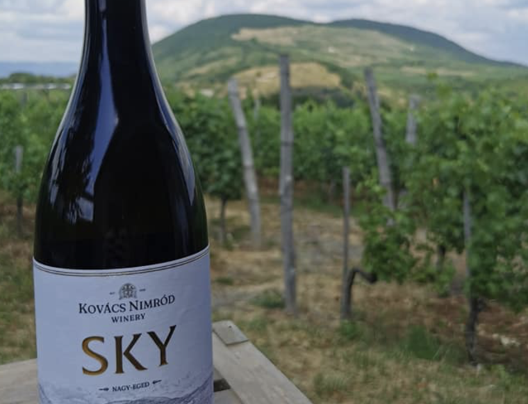 Borvidékeink legszebb furmintjai