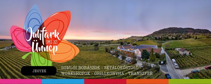 “Ha egy bor egyszerre egyedi és kiemelkedő minőségű, az a siker kulcsa lehet. A Somló hegyen mi ezt az utat választottuk” (X)