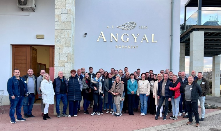 Új fejezet a Borháló történetében: stabil piacot építenének a magyar bor számára