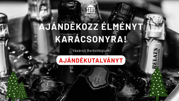 Karácsonyi toplista – ünnepi ital- és élményajánló borkedvelőknek és párlatrajongóknak