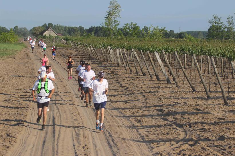 A Nemzeti Bor Maraton a legeredményesebb bormarketing kampány