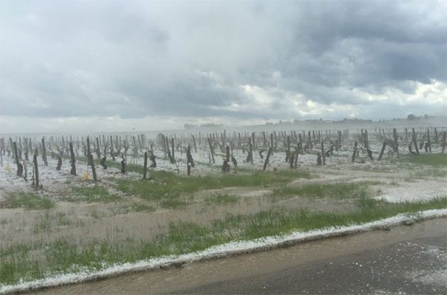 Újabb heves jégeső verte el Burgundia szőlőültetvényeit
