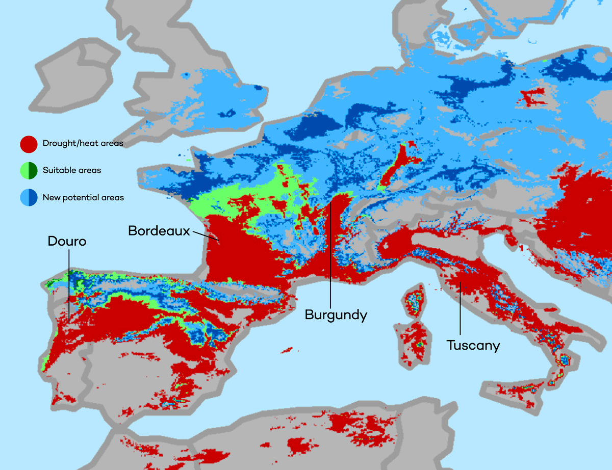 Klímaváltozás: a borászat harmadik világháborúja