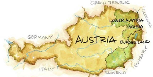 Így nem tudtam meg, miért népszerű az osztrák bor