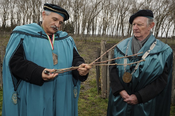 Bországgyűlés: bőséges lehet az idei szőlőtermés