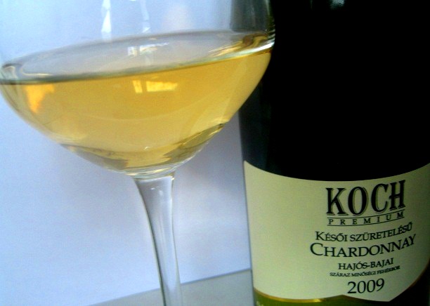 Kései szüretelésű alföldi chardonnay-k