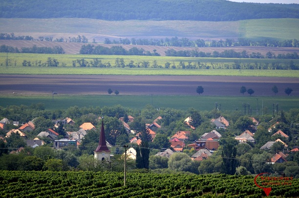 Borfesztivál a szőlőskertek között