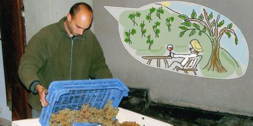 Préselés közben álmodik