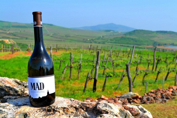 Bekerült a nemzetközi TOP 50-be a Mád Furmint 2012