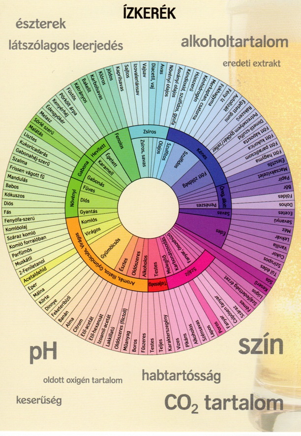 Sörkóstolás - a borok mintájára