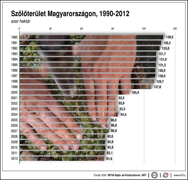 Drámai tény: az elmúlt húsz évben eltűnt a magyar szőlőterületek fele