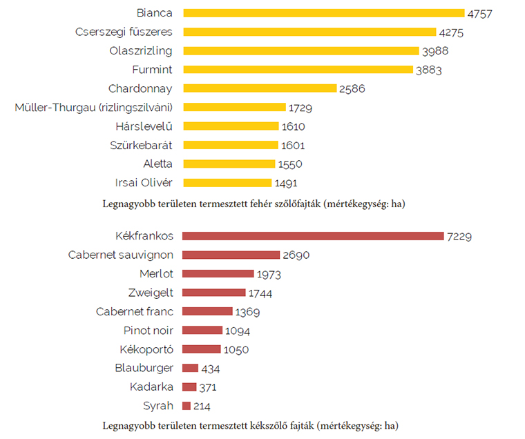 Az eredetvédelmi szabályozás fontossága