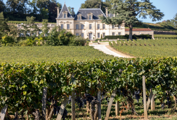 A világ két legismertebb borvidéke: Bordeaux és Champagne