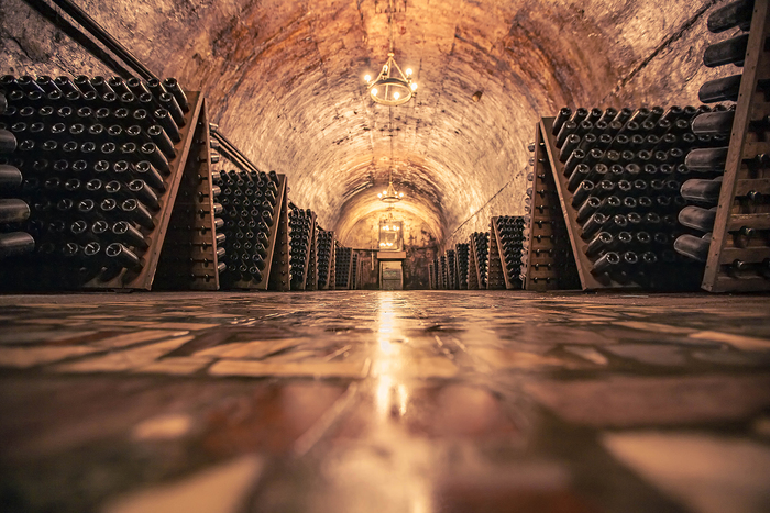 A világ két legismertebb borvidéke: Bordeaux és Champagne