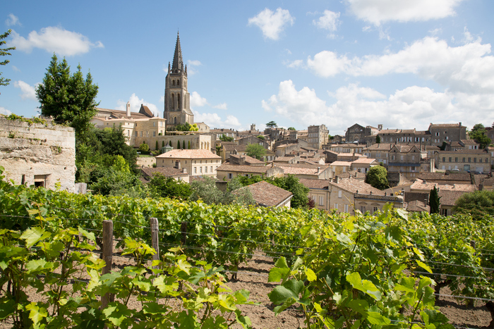 A világ két legismertebb borvidéke: Bordeaux és Champagne
