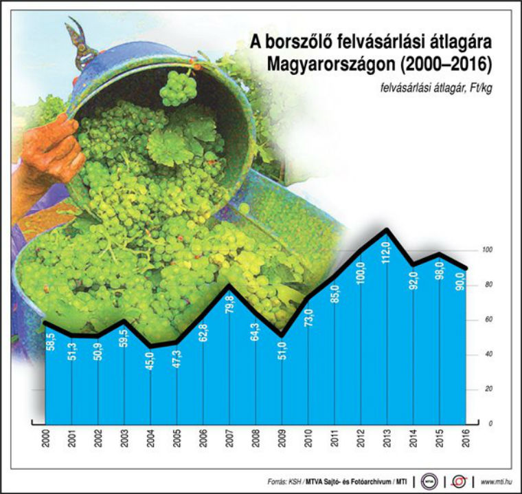 2013-ban volt a legdrágább a szőlő