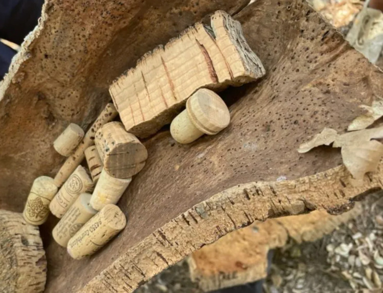 Mi az a drót a pezsgődugón?