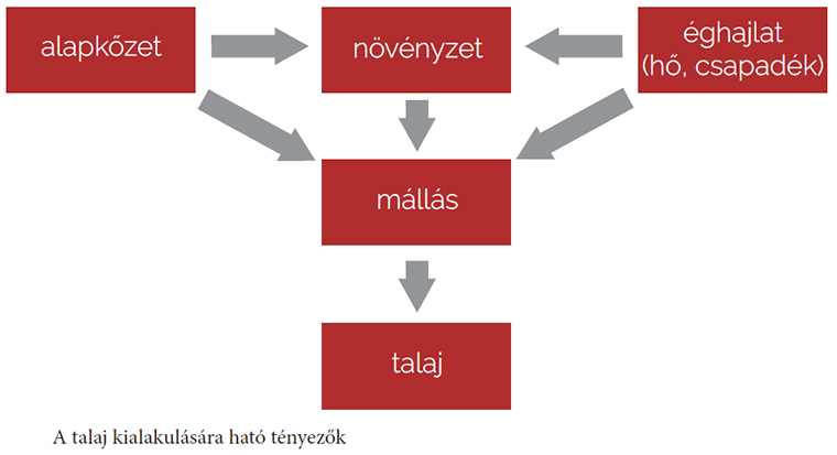 Minerális, ásványos, sós? A bor jellegét a talajt kialakító kőzetek is meghatározzák