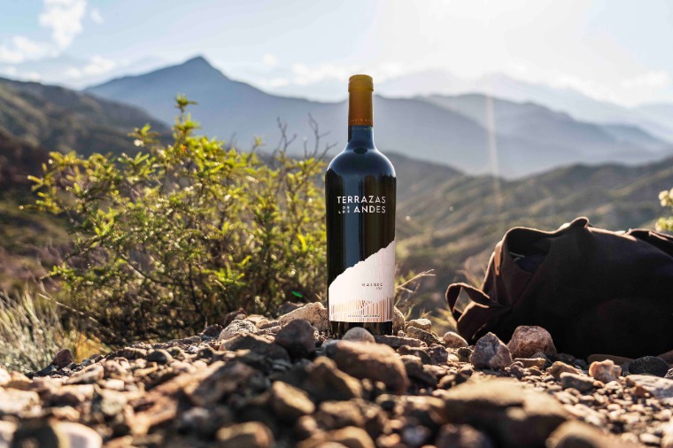 Malbec-mánia: a bor, ami meghódította a világot