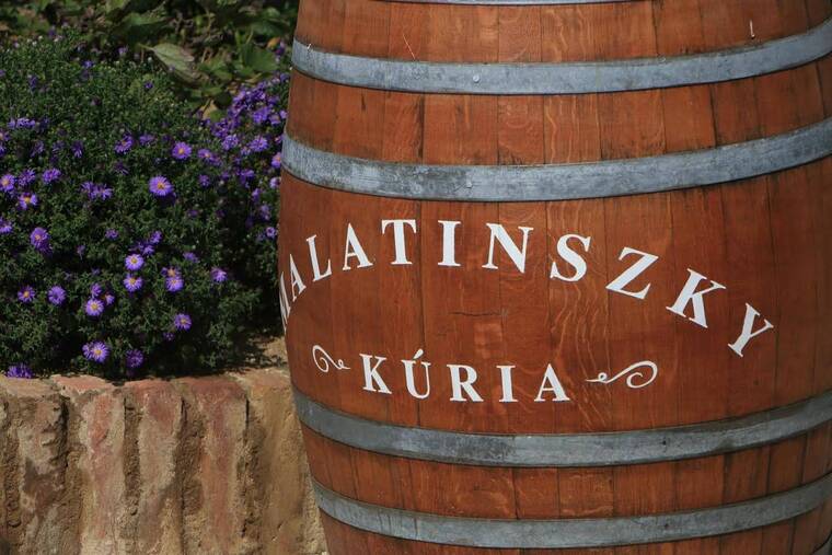 A lélek szenvedélye a borban – Malatinszky Csaba gondolatai az organikusságról és a bor szakralitásáról